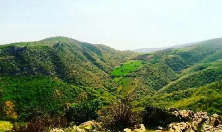 فرهنگ مانه و سملقان