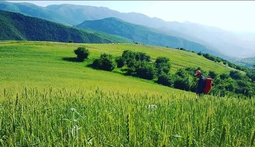 مانه و سملقان بلو تاکسی